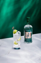 gin tonic.png