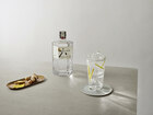 Roku_Tonic Ginger_Cocktail Lifestyle image (1).jpg