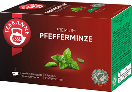 Gastro Pfefferminze 20 Btl.