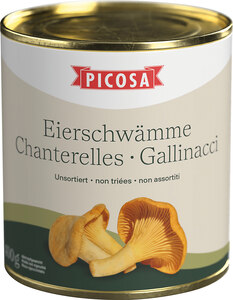 Chanterelles non triées